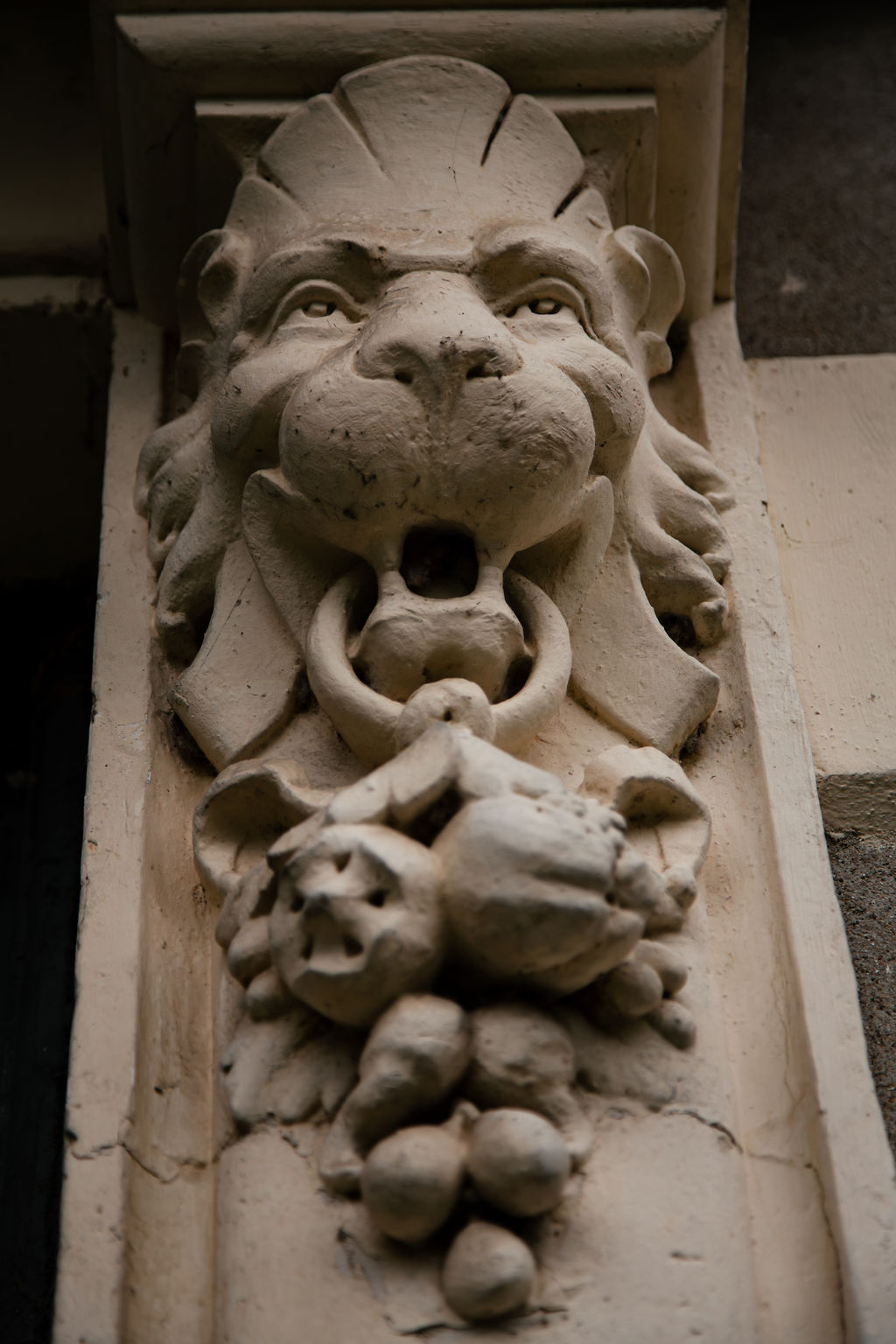 Gargouille - Maison de maître 